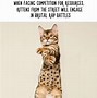 Image result for Facts About Animals