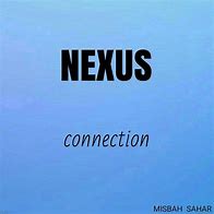 Image result for Nexus Meaning