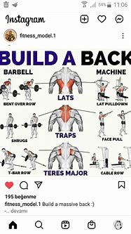 Image result for Back Workout Chart for Men