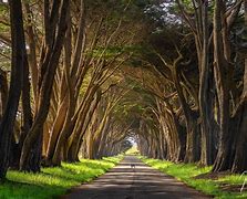 Image result for Nature Photo Ideas