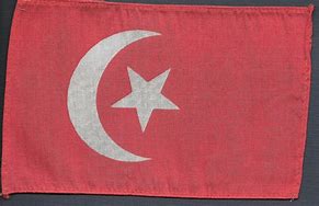 Image result for Ottoman Flag WW1