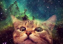 Image result for Purple Galaxy Cat Wallpaper 4K