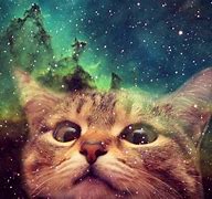 Image result for Galaxy Cat Wallpaper Meme