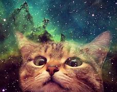 Image result for High Quality Cat Space Wallpaper