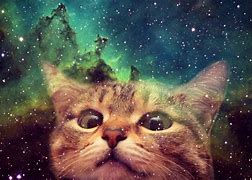 Image result for Amazing Galaxy Cat Wallpaper