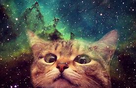 Image result for Pretty Galaxy Cat Backgrounds