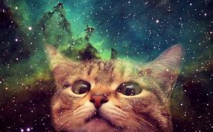 Image result for Space Cat Art