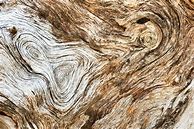 Image result for Marc Anderson Photography Texture
