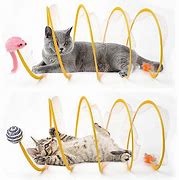 Image result for Cat Tunnel Toy