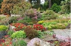 creare un giardino roccioso come costruire un giardino roccioso come fare tutto creare un giardino roccioso come costruire un giardino roccioso come fare tutto