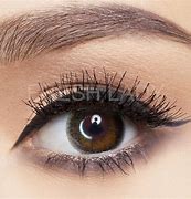 Image result for Brown Contact Lenses