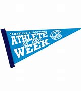Image result for School Pennant