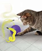 Image result for Wire Ball Cat Toy