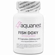 Image result for Aquarium Doxycycline