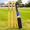 Image result for Bat for Cricket