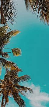Image result for Summer Nature iPhone Wallpaper