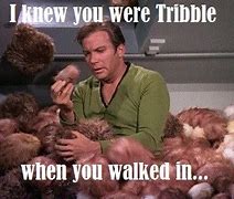 Image result for Star Trek Tribble Funny