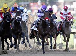 Image result for Pictures of Derby Horses