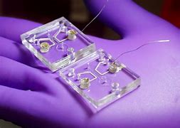 Image result for Smart Cell Culture Device