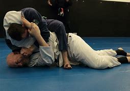 Image result for Brazilian Jiu Jitsu Positions