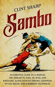 Image result for Sambo Martial Art