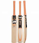 Image result for USA Cricket Bats