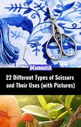 Image result for Different Types of Scissors