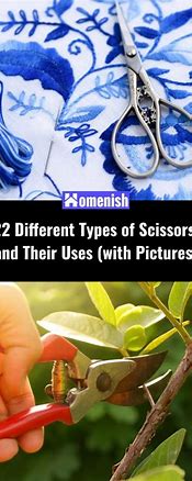 Image result for Different Kinds of Scissors