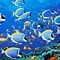 Image result for iPhone 6s Fish Wallpaper