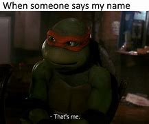 Image result for Ninja Turtle Meme Suit