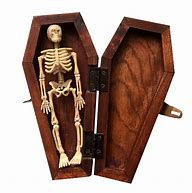 Image result for Wooden Coffin Box