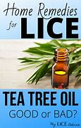 Image result for Tea Tree Oil for Plants Pest Control