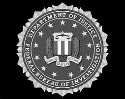 Image result for Middle of FBI Seal