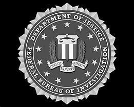 Image result for FBI Seal Shiny