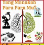 Image result for Gambar Tentang Kesehatan