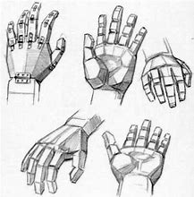 Image result for Hand Drawing Reference