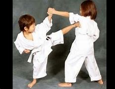 Image result for Karate Funny Moves
