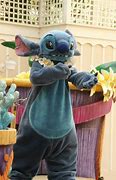 Image result for Rose Stitch Furry