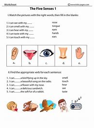 Image result for Five Senses Worksheet Grade 1