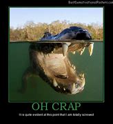 Image result for OH Crap Funny Pics