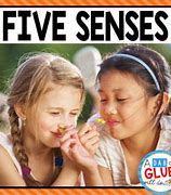 Image result for Five Senses Garden