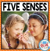 Image result for Five Senses Black and White