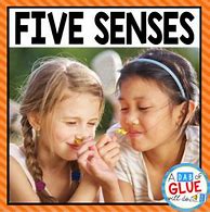 Image result for Five Senses Sight