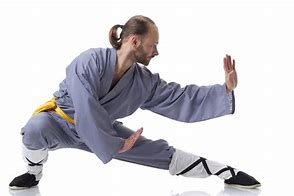 Image result for All Types of Kung Fu Styles