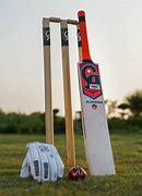 Image result for Hard Ball Cricket Bat