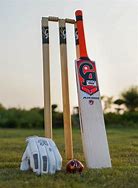 Image result for Cricket Bat Ball with Shoes