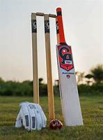 Image result for Hard Ball Cricket Bat