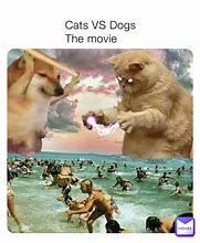 Image result for Dog vs Cat Car Ride Meme