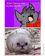 Image result for War Cat Meme