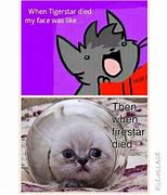 Image result for Free Cat Hugs Meme